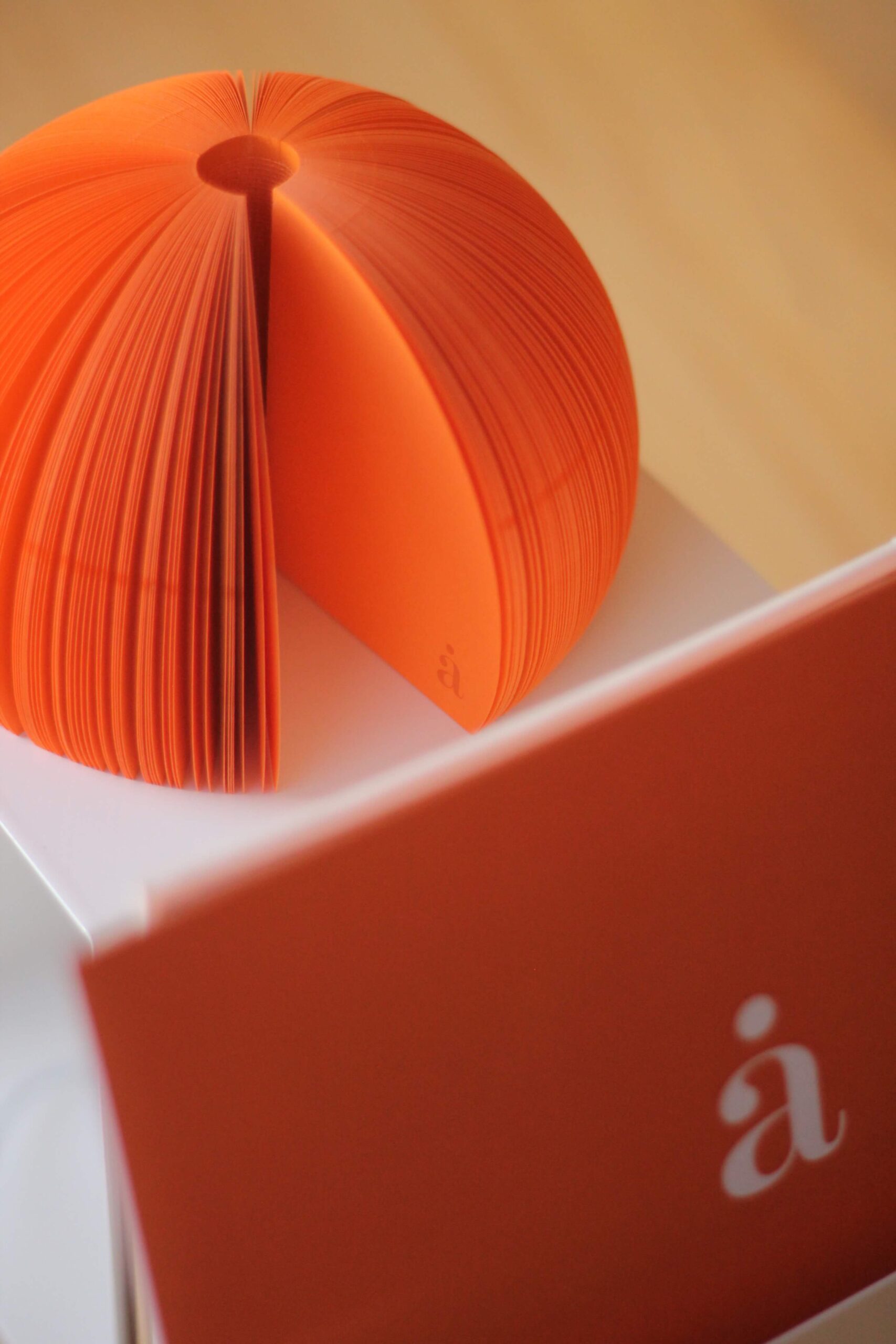 álvarez lentner 10º